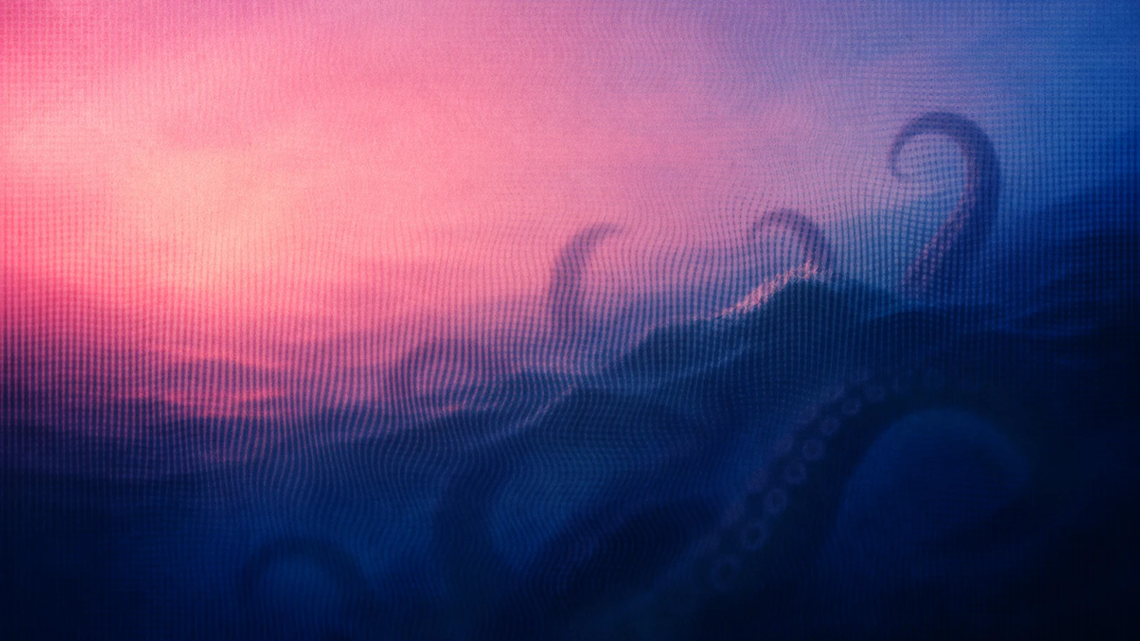Pink and blue abstract coastal announcement graphic for The Merry Wives of Windsor Cove.